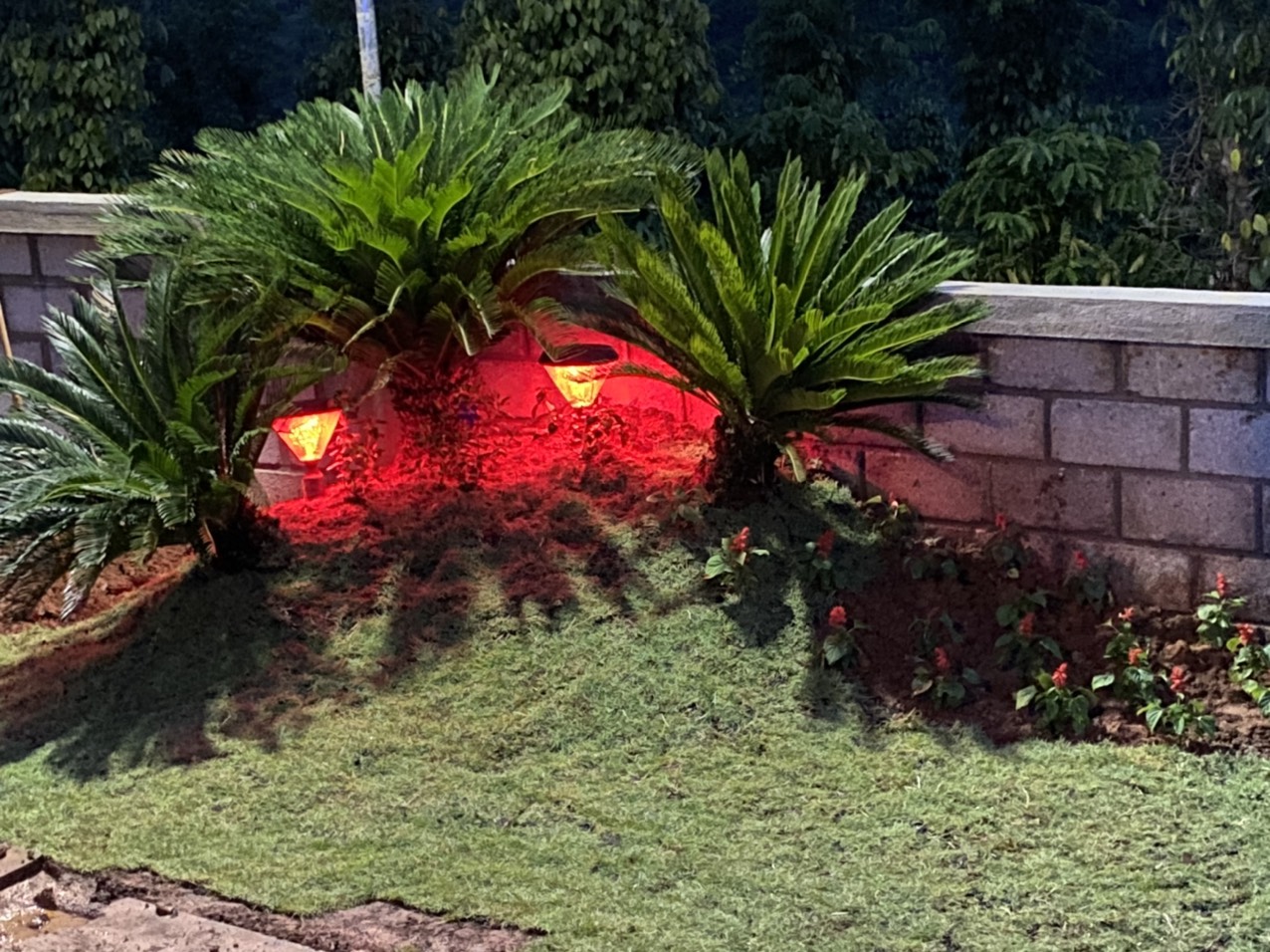 Đèn chiếu sáng lối đi trong sân vườn